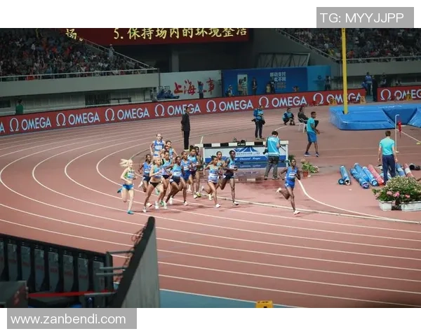 上海羽毛球队崛起之路：钻石联赛背后的奋斗与荣耀