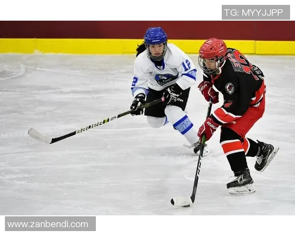 上海篮球队在世界锦标赛中的表现分析与状态评估