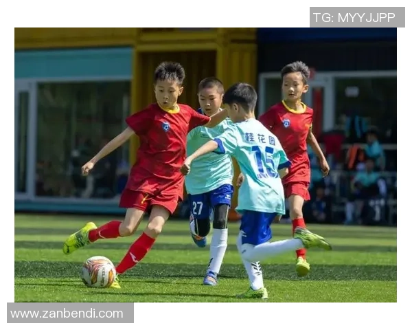 足球少女1的梦想与拼搏青春在绿茵场上绽放的故事